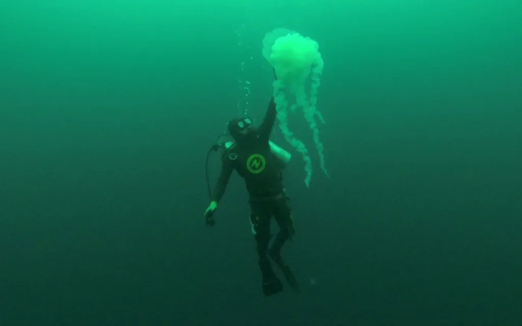 Buceo Comercial